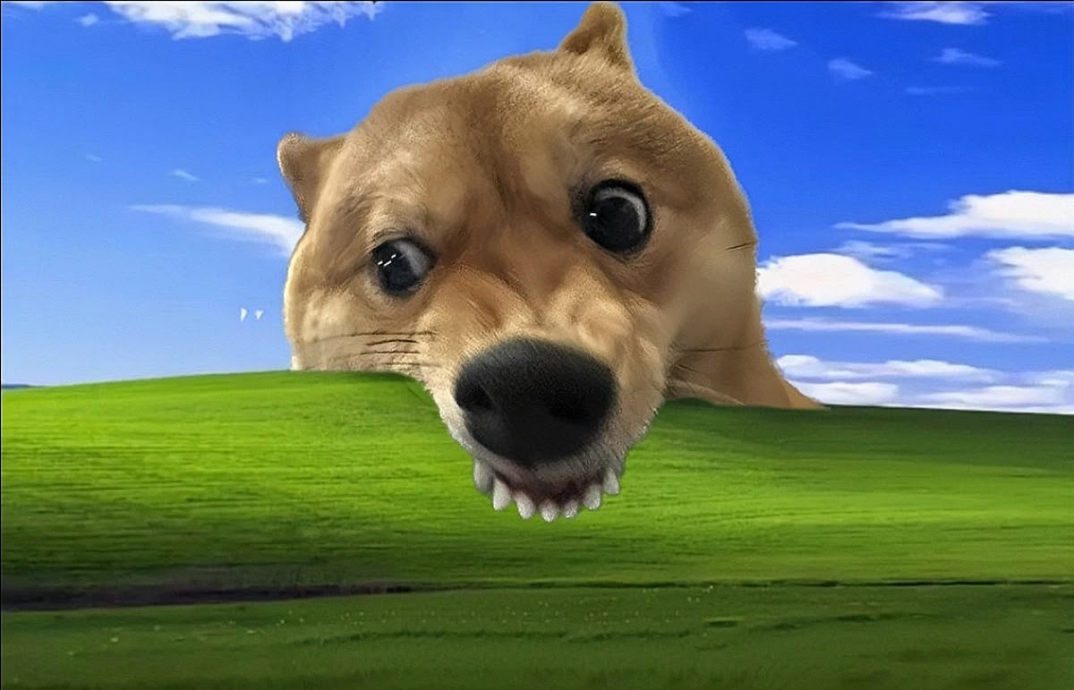 강아지